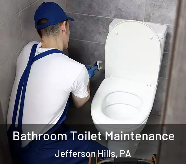  Bathroom Toilet Maintenance Jefferson Hills, PA