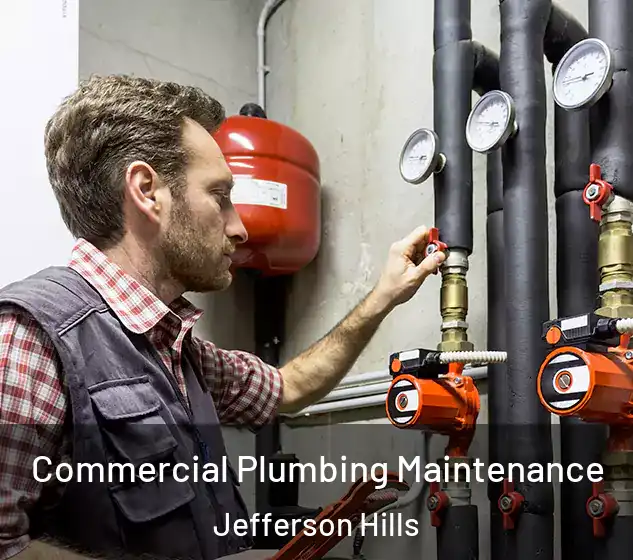  Commercial Plumbing Maintenance Jefferson Hills