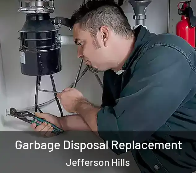  Garbage Disposal Replacement Jefferson Hills