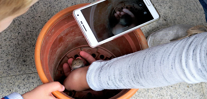 Scope of Drain Camera Inspection Services in Jefferson Hills, PA