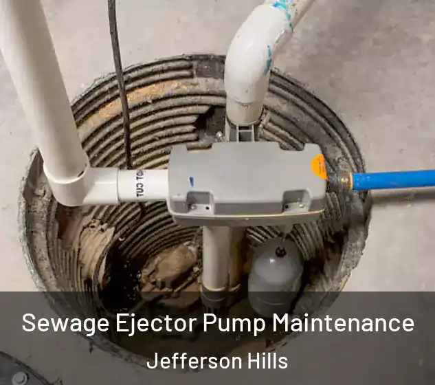  Sewage Ejector Pump Maintenance Jefferson Hills